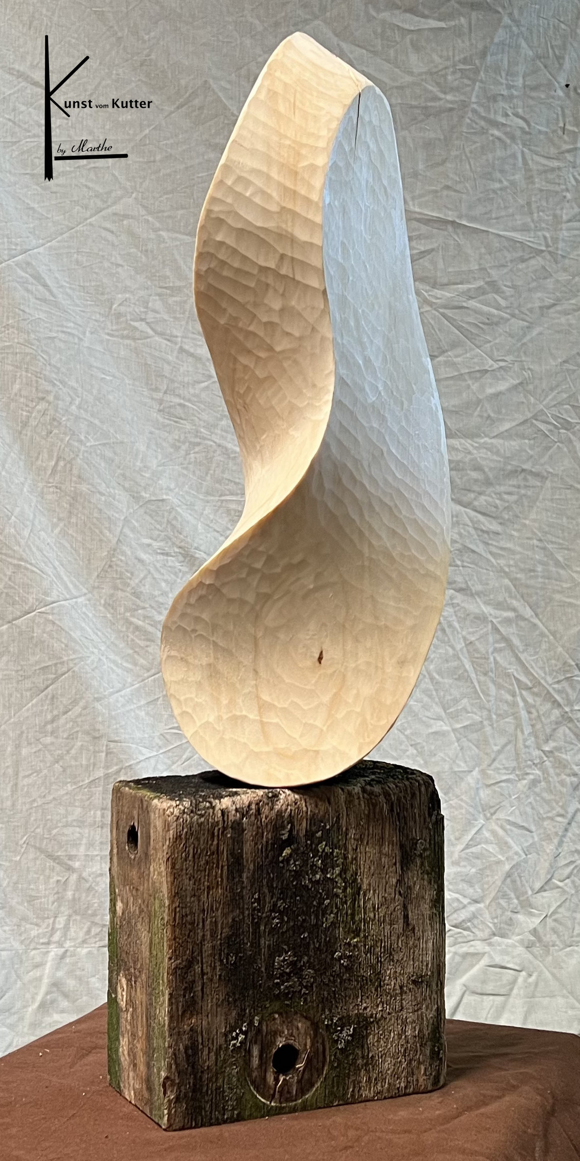 Entwicklung